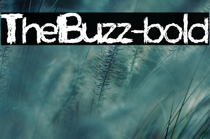 TheBuzz-bold Example 3