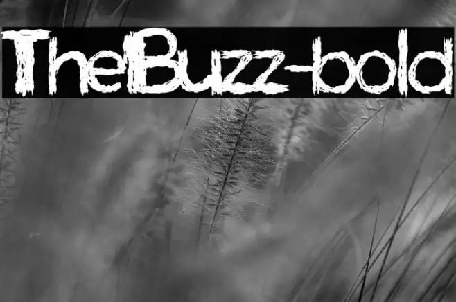 TheBuzz-bold Font examples