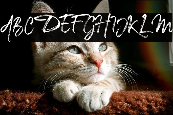 TheCaldwellscript-Regular Example 1