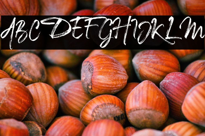 TheCaldwellscript-Regular Example 2