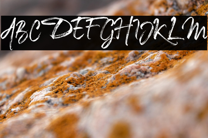 TheCaldwellscript-Regular Example 2