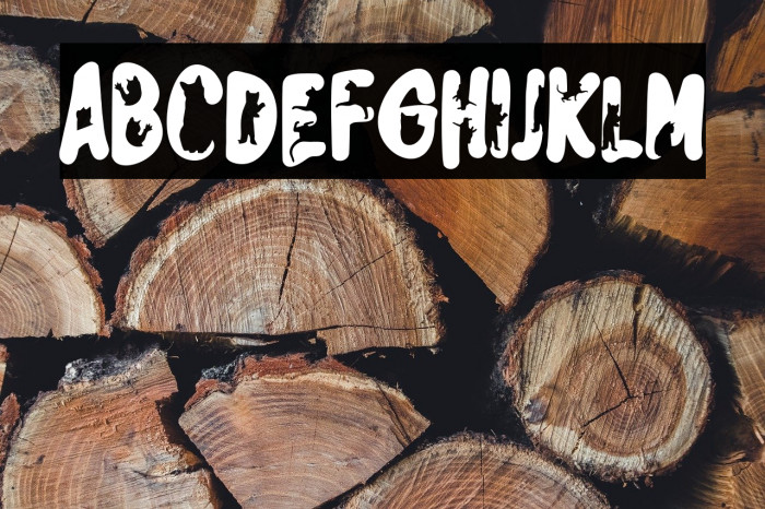 TheCatFREE Example 1