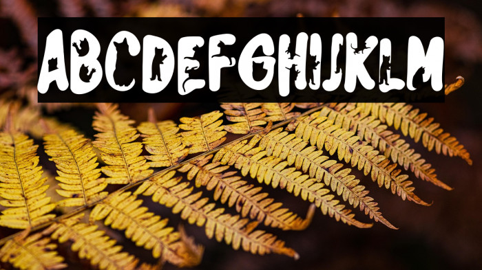 TheCatFREE Example 3