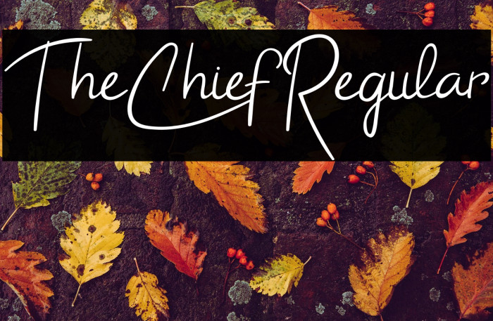 TheChiefRegular Example 1