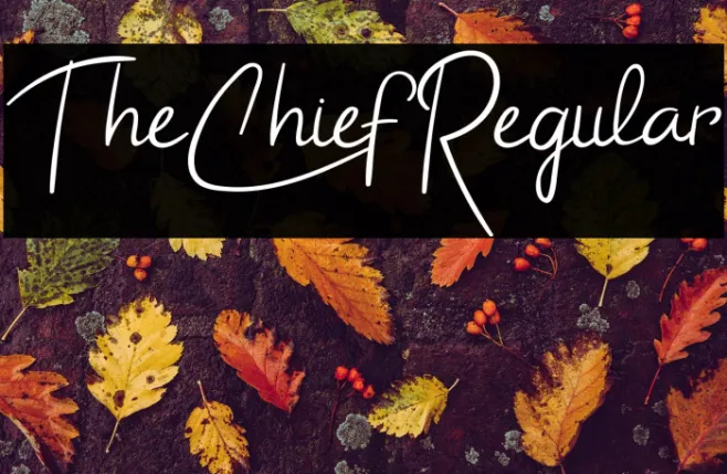 TheChiefRegular Example 1