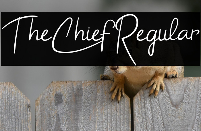 TheChiefRegular Example 3