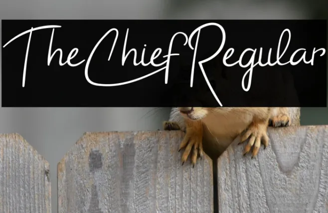TheChiefRegular Example 3