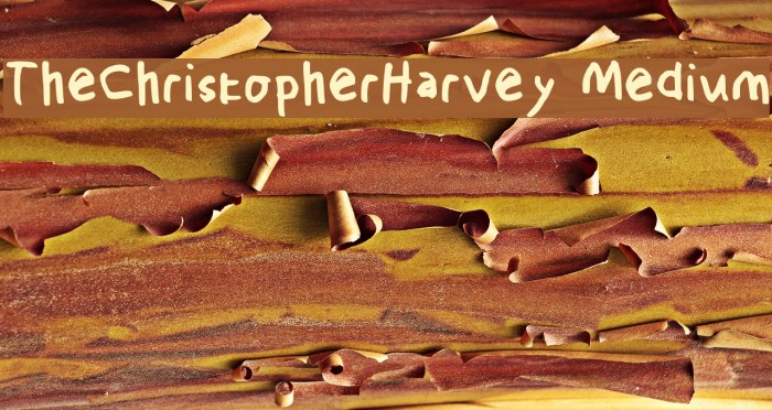 TheChristopherHarvey Medium Font examples