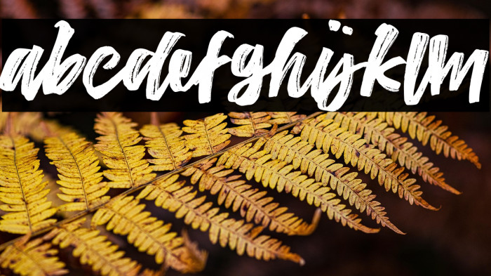 TheConquerFreeDemo Example 1