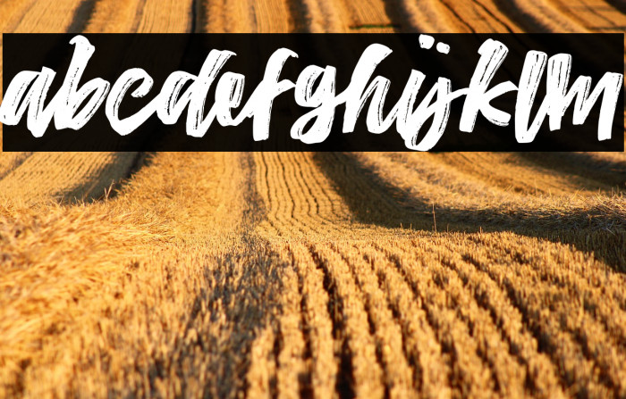 TheConquerFreeDemo Example 3