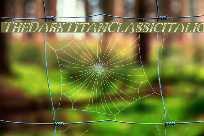 TheDarkTitanClassicitalic Font examples