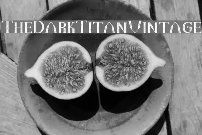 TheDarkTitanVintage Font examples