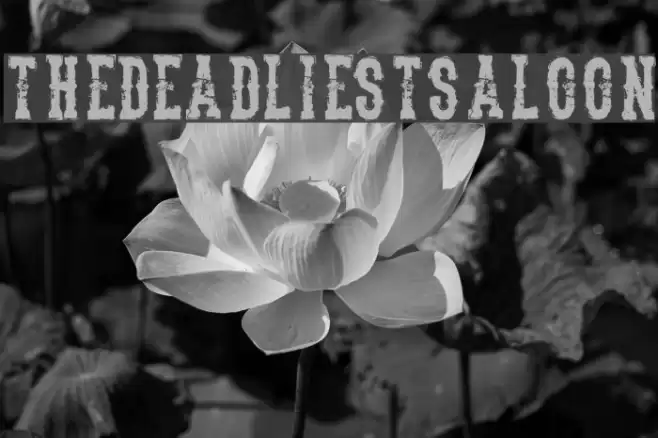 TheDeadliestSaloon Font examples