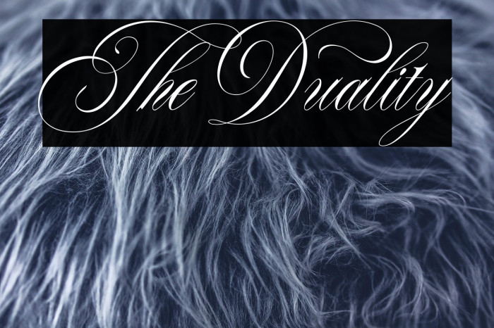 TheDuality Example 2