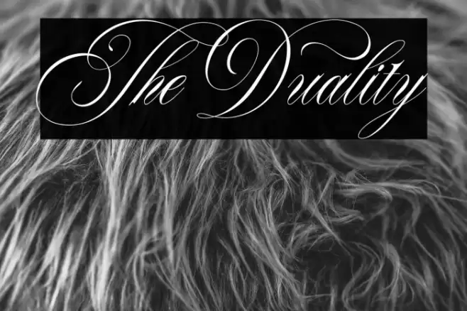 TheDuality Font examples