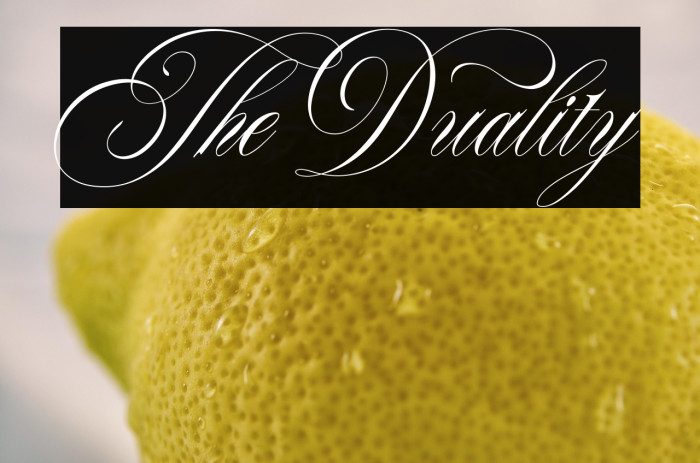 TheDuality Example 3