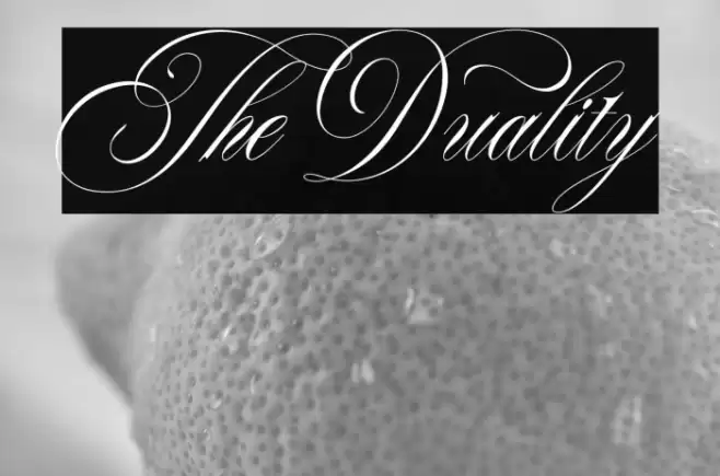 TheDuality Font examples