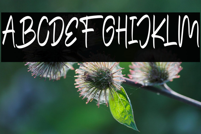 TheEdensickFREE Example 2