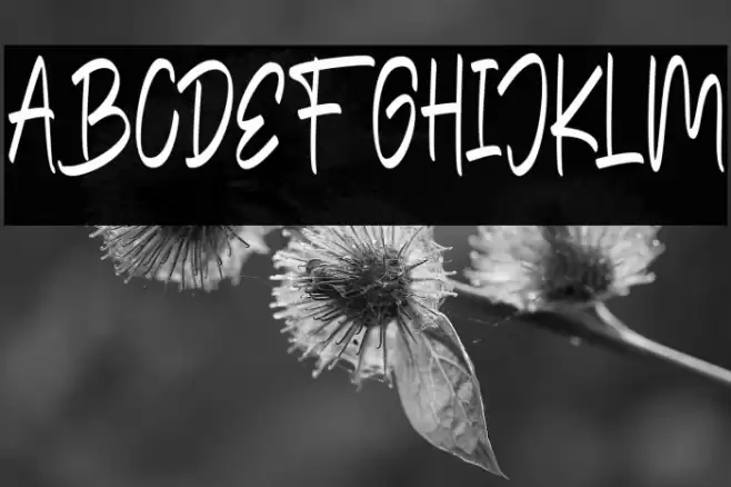 TheEdensickFREE Font examples