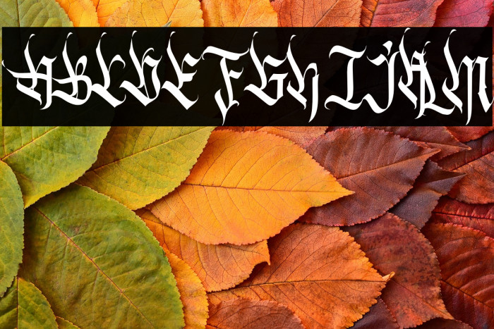 TheEldians-Personal Example 3