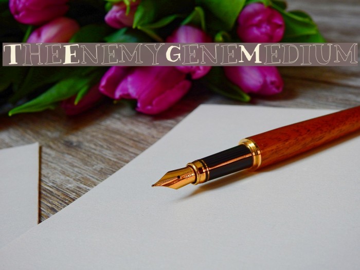 TheEnemyGeneMedium Font examples