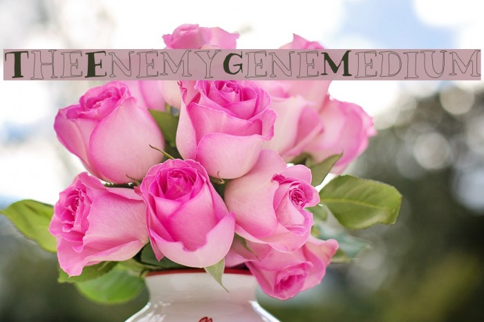 TheEnemyGeneMedium Font examples