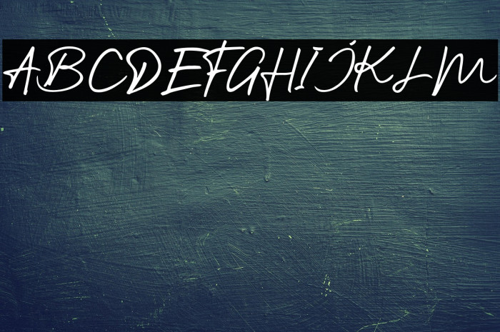 TheFighter Example 1