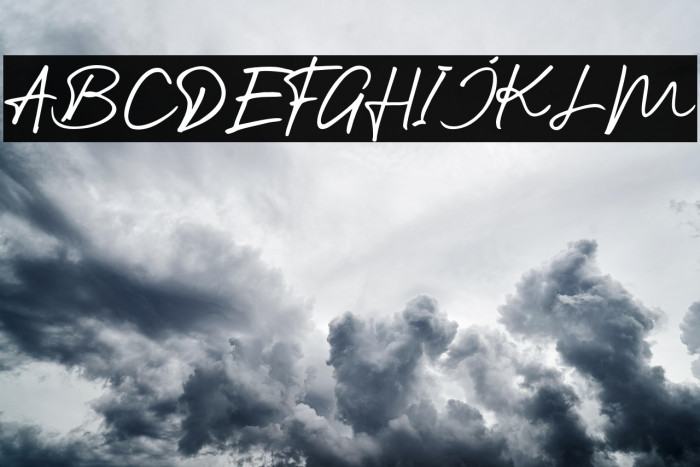 TheFighter Example 2