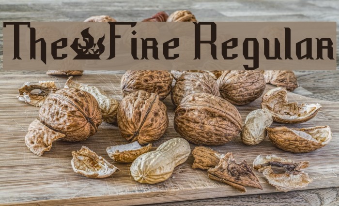 The·Fire Regular Font examples