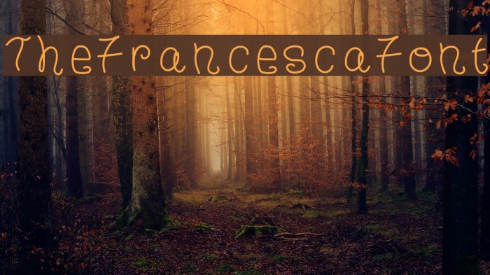 TheFrancescaFont Font examples