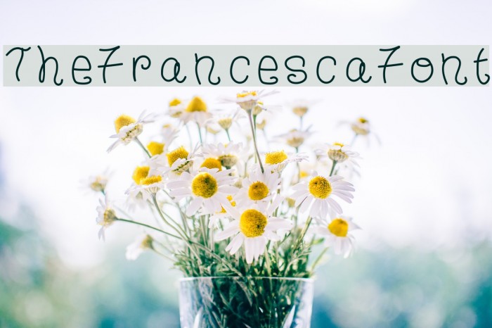 TheFrancescaFont Font examples