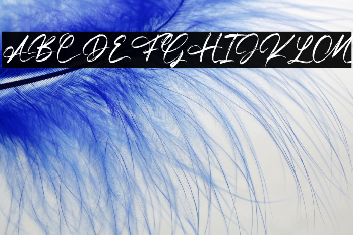 TheFrankline-Regular Example 3