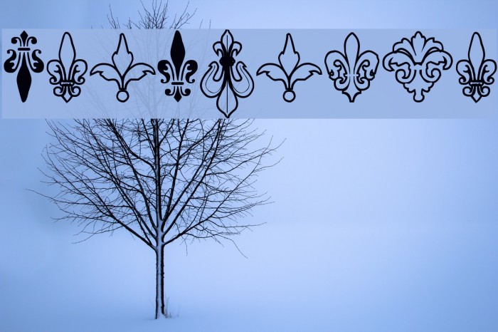 TheFrench Font examples