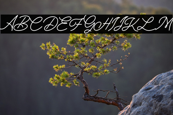 TheGallery Example 3