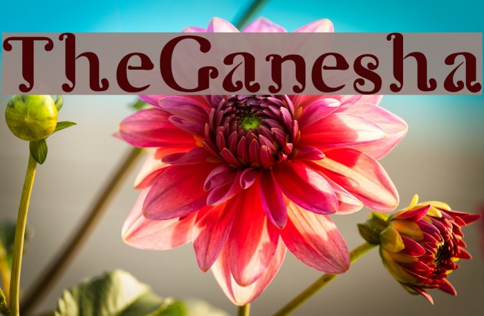 TheGanesha Example 3