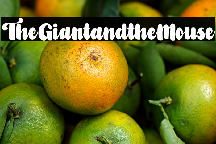 TheGiantandtheMouse Example 2