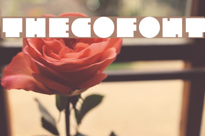 TheGoFont Font examples