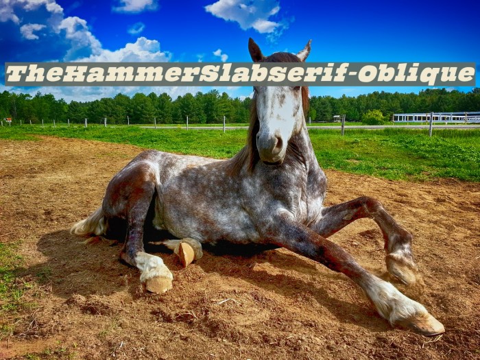 TheHammerSlabserif-Oblique フォント examples