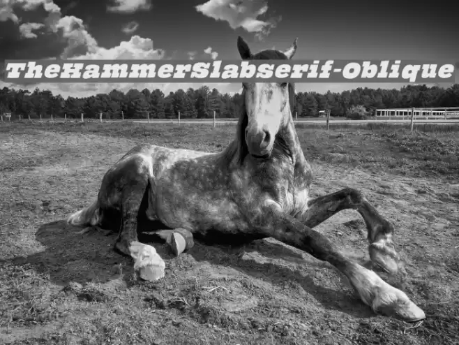TheHammerSlabserif-Oblique フォント examples