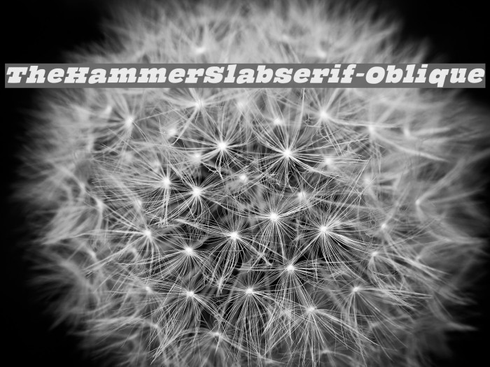 TheHammerSlabserif-Oblique フォント examples