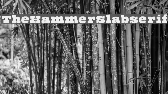 TheHammerSlabserif Font examples