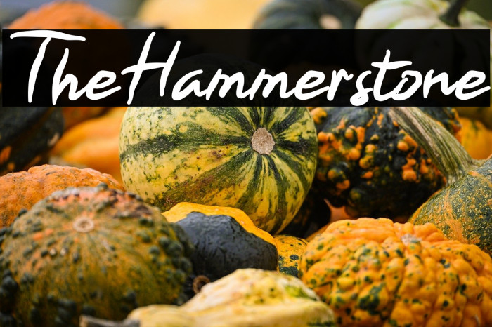 TheHammerstone Example 1