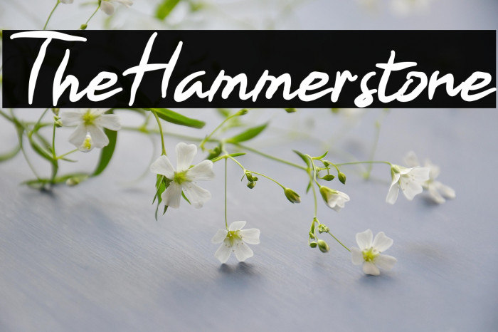 TheHammerstone Example 2