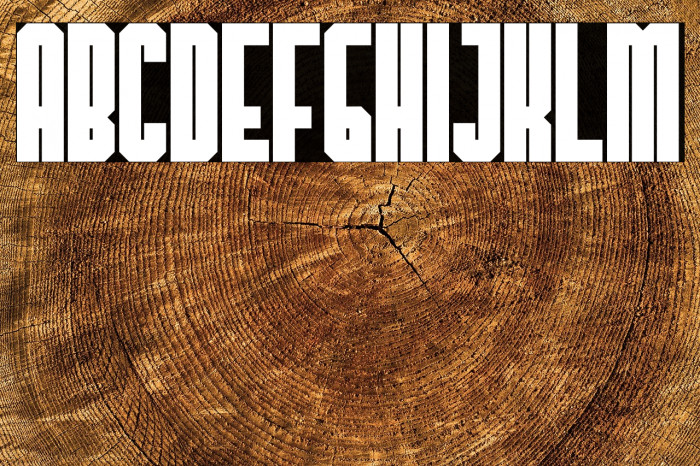 TheHangoverDecadeBold Example 1