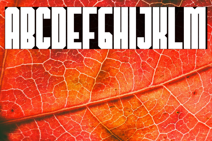 TheHangoverDecadeBold Example 2