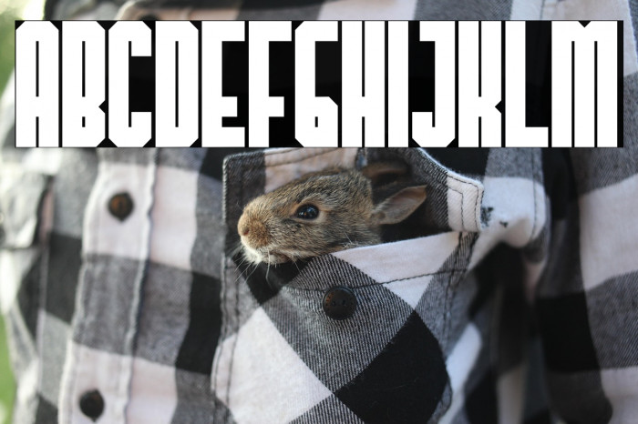 TheHangoverDecadeBold Example 1