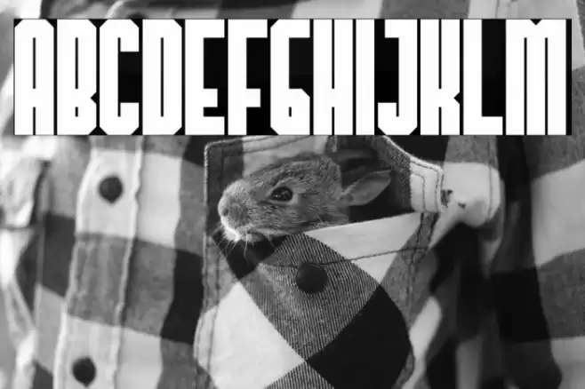 TheHangoverDecadeBold Font examples