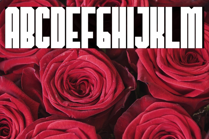 TheHangoverDecadeBold Example 2