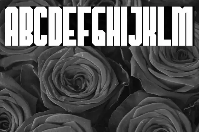 TheHangoverDecadeBold Font examples