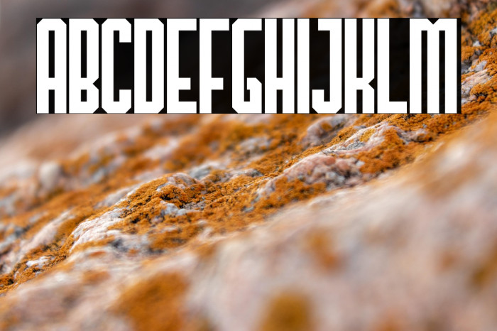 TheHangoverDecadeRegular Example 1